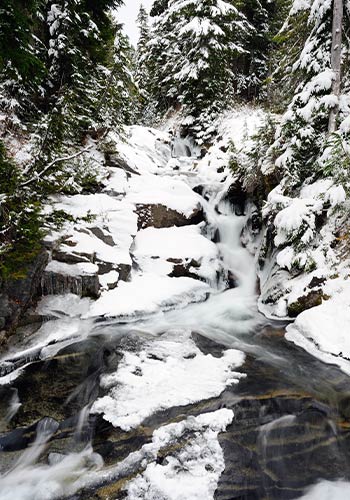 Winter Hikes in Washington River Trails