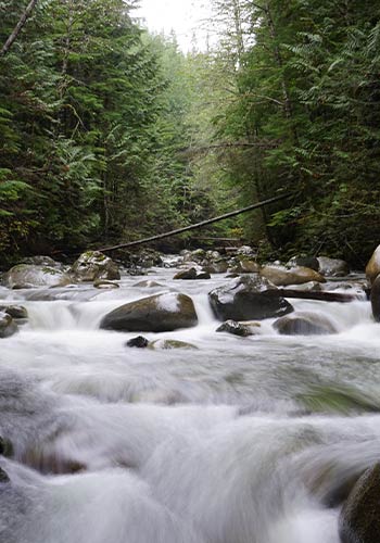 Winter Hikes in Washington Waterfalls